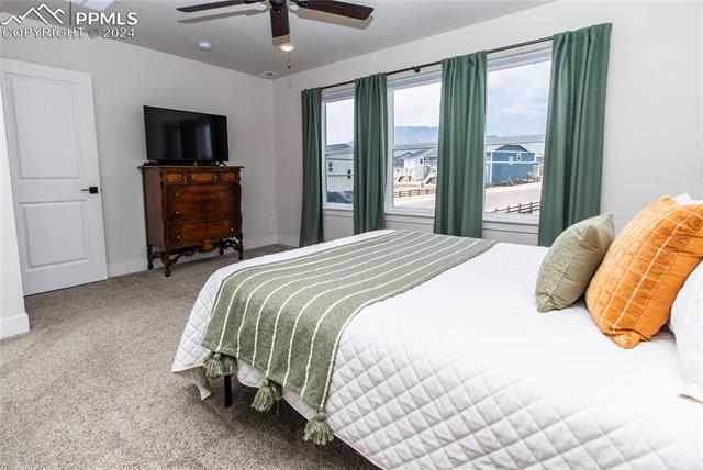 16102 Alpine Sorrel Drive