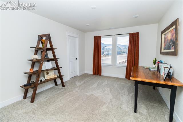 16102 Alpine Sorrel Drive