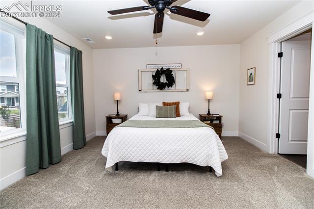 16102 Alpine Sorrel Drive