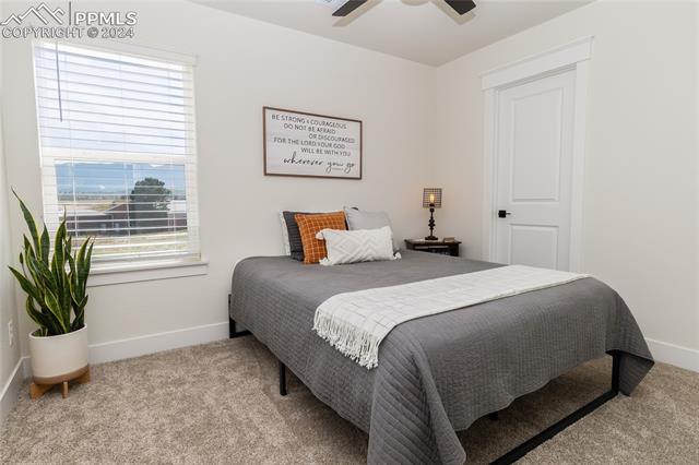 16102 Alpine Sorrel Drive