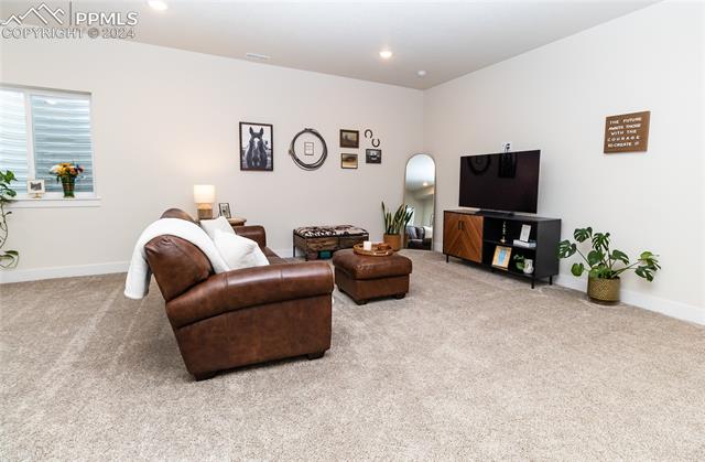16102 Alpine Sorrel Drive