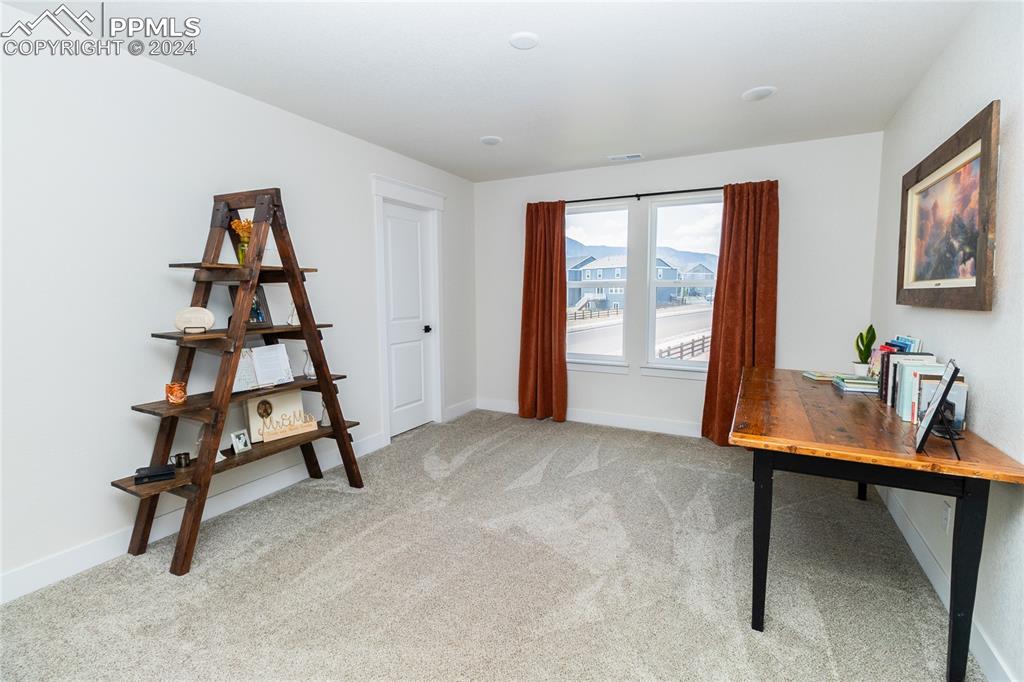 16102 Alpine Sorrel Drive