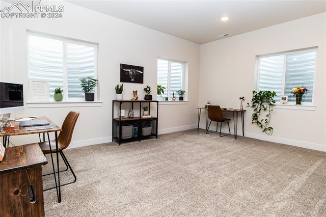 16102 Alpine Sorrel Drive