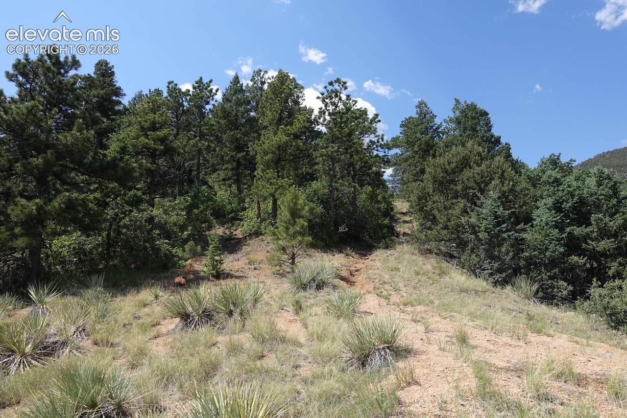 292 Sugarloaf Road