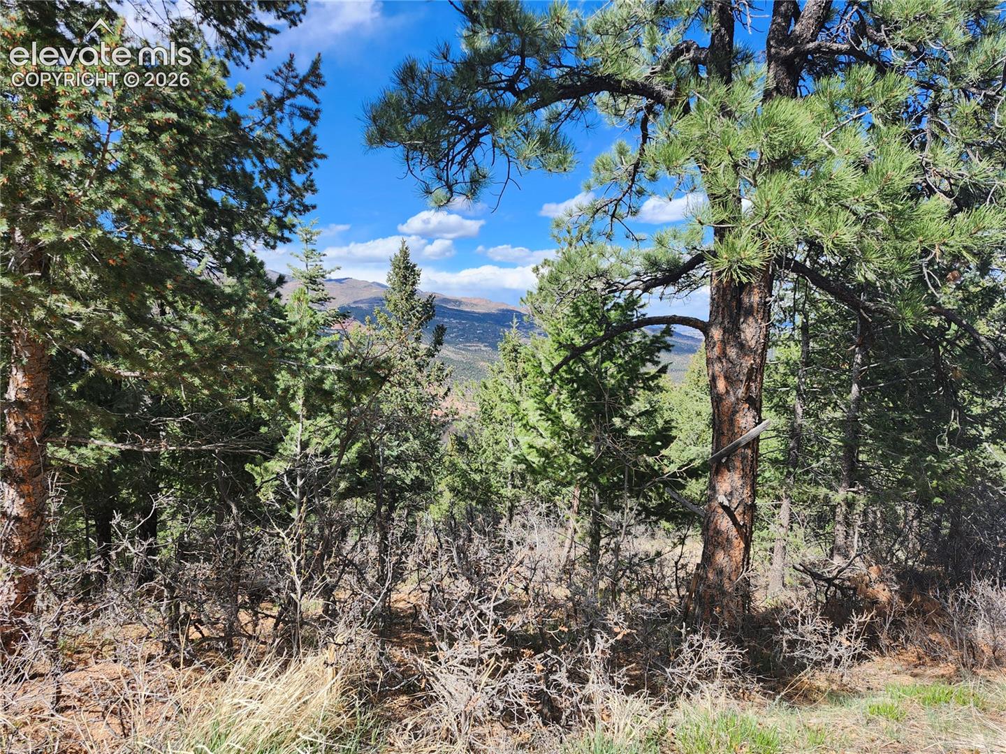 292 Sugarloaf Road