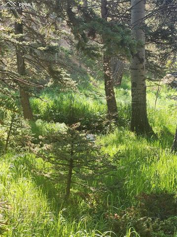 6699 Eagle Mountain Road