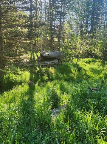 6699 Eagle Mountain Road