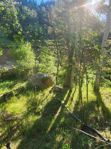 6699 Eagle Mountain Road