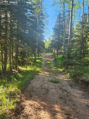 6699 Eagle Mountain Road