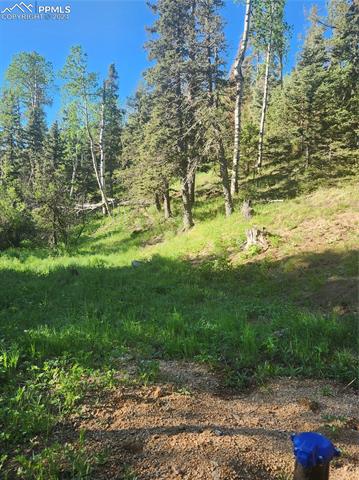 6699 Eagle Mountain Road