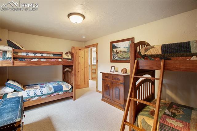 527 Cougar Point