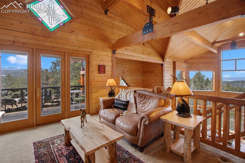 527 Cougar Point
