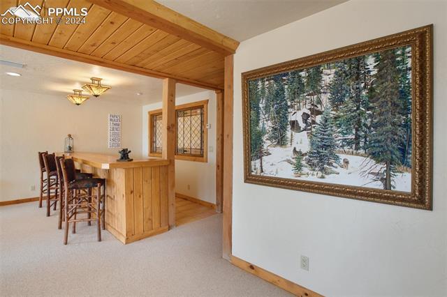 527 Cougar Point