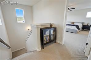 5858 Spring Breeze Drive