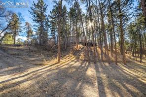 1260 Timber Valley Road