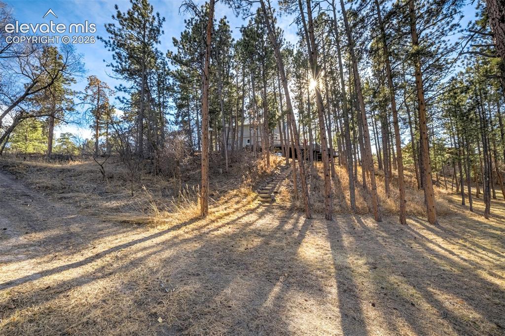1260 Timber Valley Road