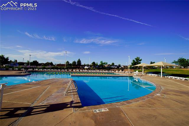 12629 Windingwalk Drive