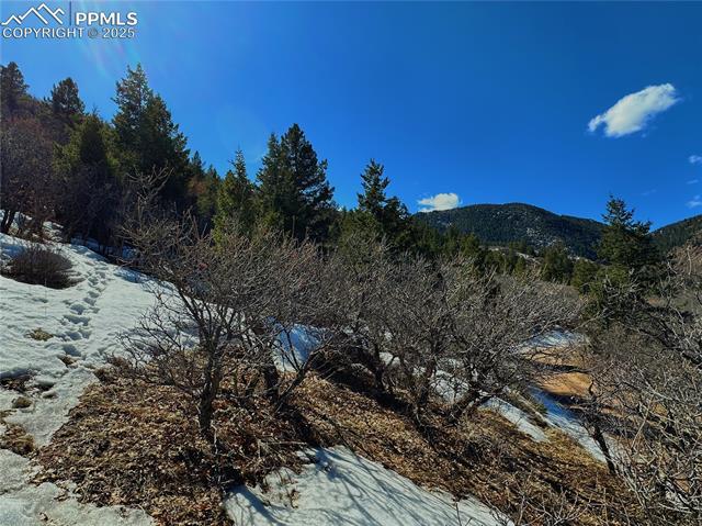 4405 Diamondback Drive