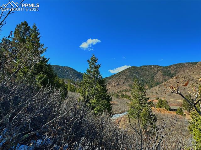 4405 Diamondback Drive