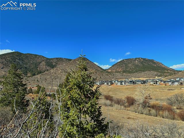 4405 Diamondback Drive