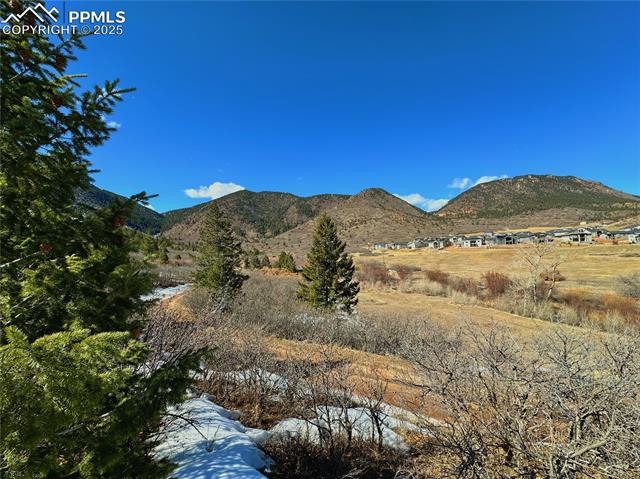 4405 Diamondback Drive