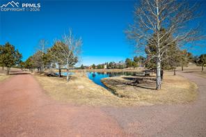 17480 Pond View Place