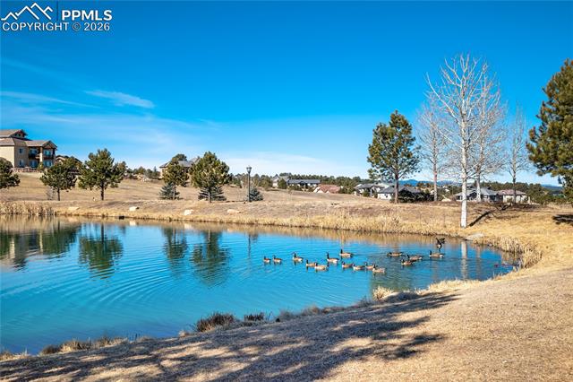 17480 Pond View Place