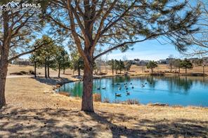 17480 Pond View Place