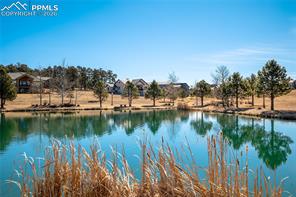 17480 Pond View Place