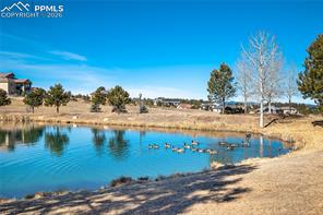 17480 Pond View Place