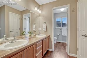 17024 Blue Mist Grove