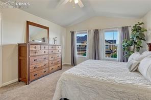 17024 Blue Mist Grove