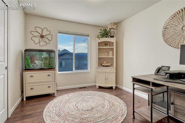 17024 Blue Mist Grove