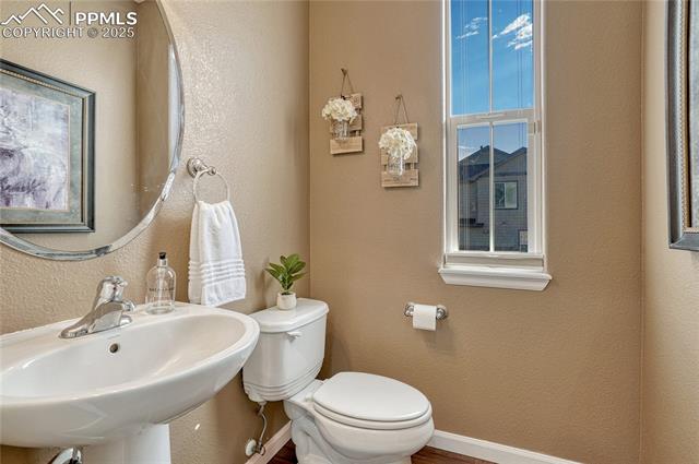 17024 Blue Mist Grove