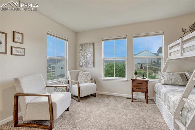 17024 Blue Mist Grove