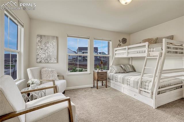 17024 Blue Mist Grove