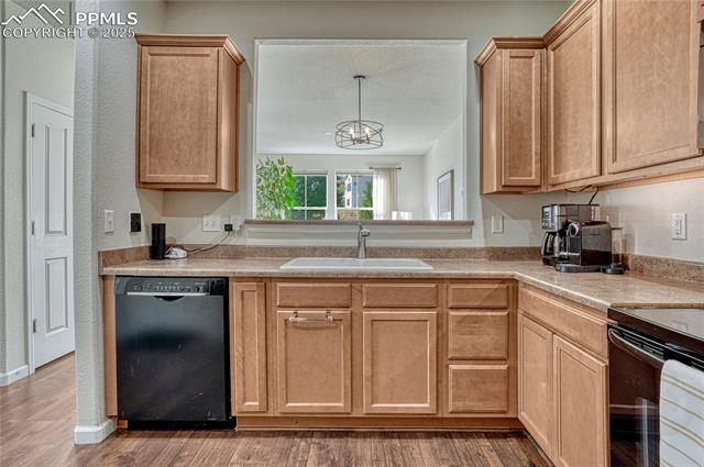 17024 Blue Mist Grove