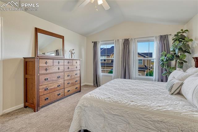 17024 Blue Mist Grove