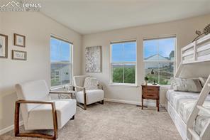 17024 Blue Mist Grove