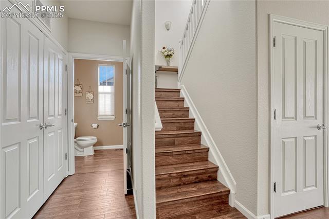 17024 Blue Mist Grove