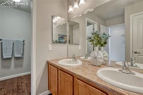 17024 Blue Mist Grove