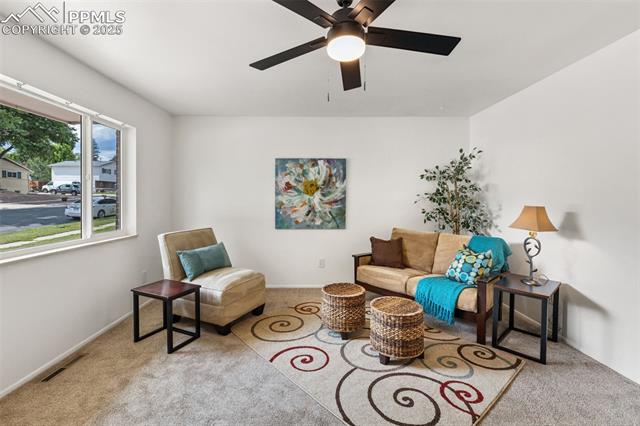 1207 Kingsley Drive