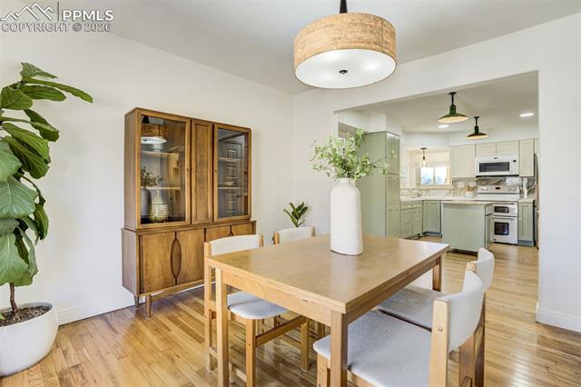 1004 Arcturus Drive