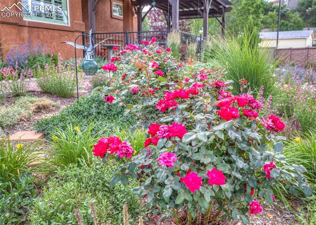 36 Mountain Spirit Point