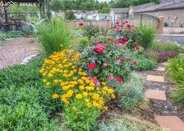 36 Mountain Spirit Point