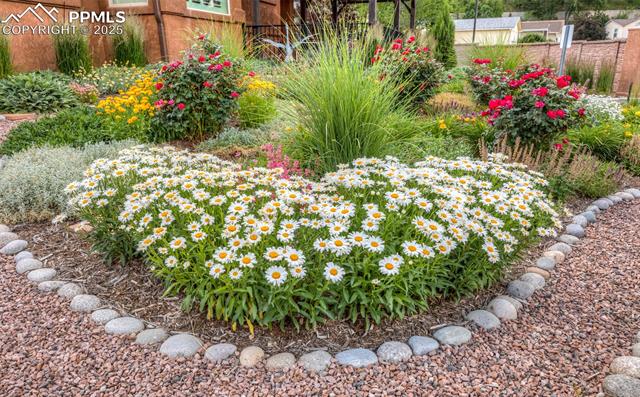 36 Mountain Spirit Point