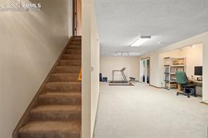 3325 Brunswick Drive