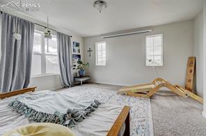 6947 Bigtooth Maple Drive