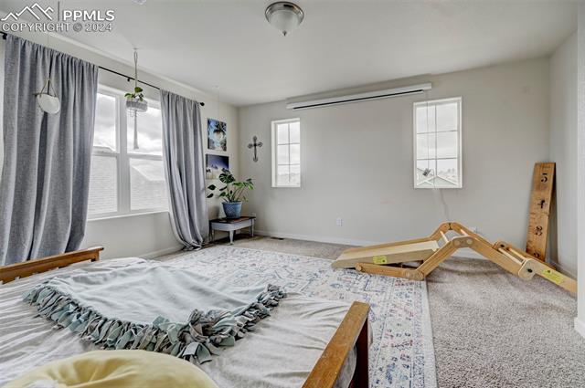 6947 Bigtooth Maple Drive