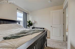 6947 Bigtooth Maple Drive